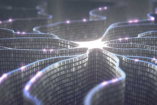 Grad Cert., Intelligence Studies